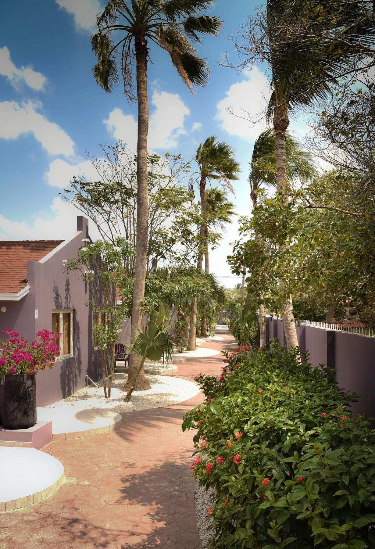Cadushi Apartments Oranjestad Eksteriør billede