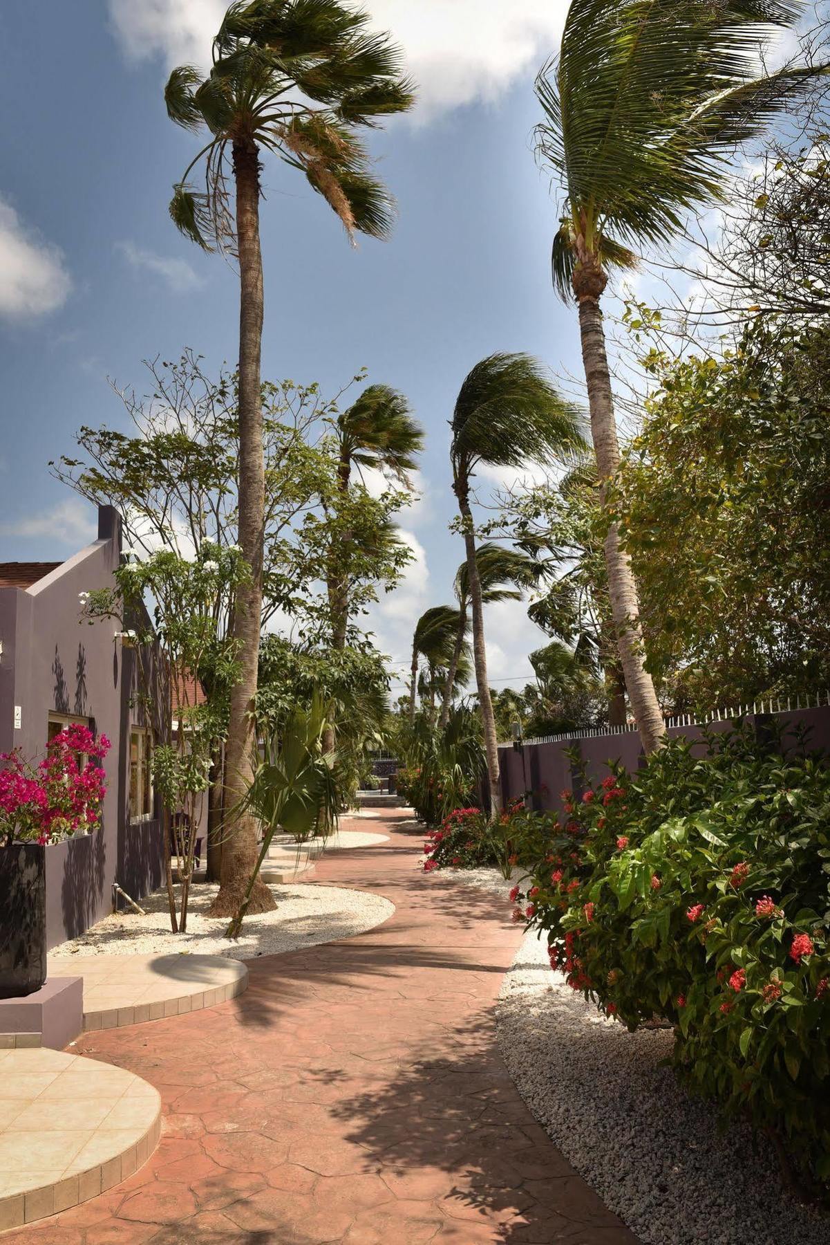 Cadushi Apartments Oranjestad Eksteriør billede