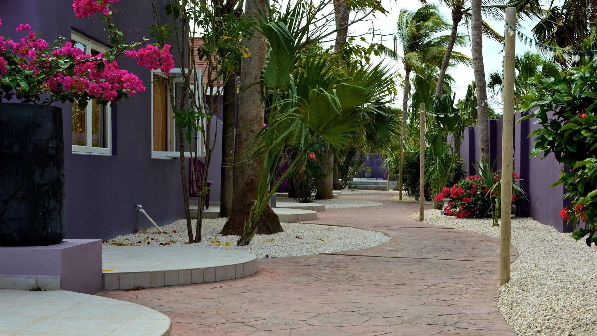 Cadushi Apartments Oranjestad Eksteriør billede